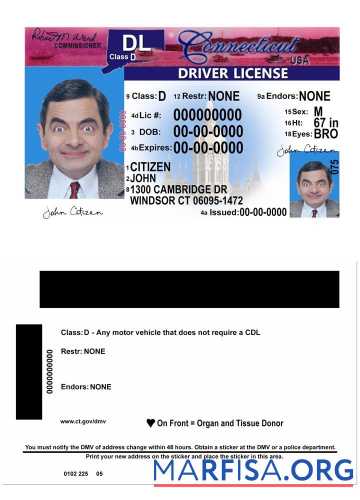 Printable USA Connecticut driving license version 2 real example